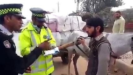 In KPK Traffic police fine a donkey cart driver