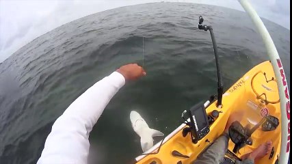 Pescador salva el pie por poco de un mordisco de tiburón