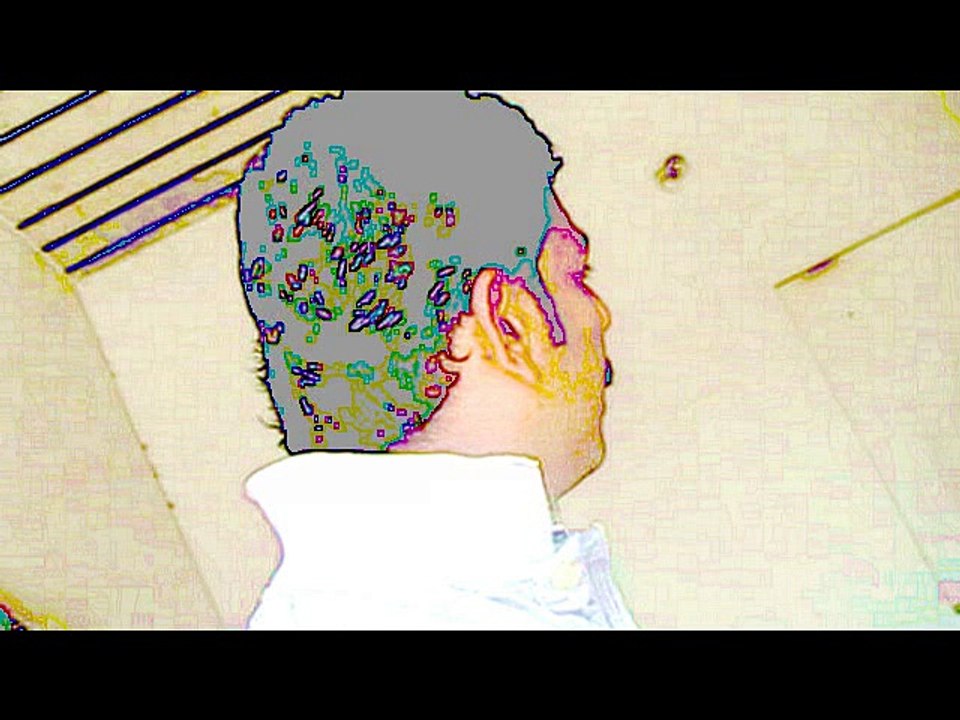 janbaz