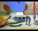 tom and jerry kartoon  hd officail video