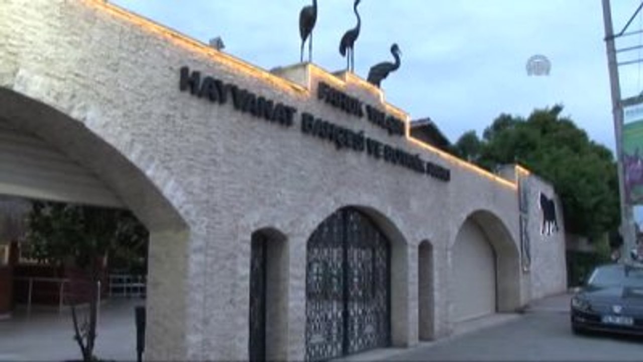 Darıca Hayvanat Bahçesi'ne Yeni Misafir