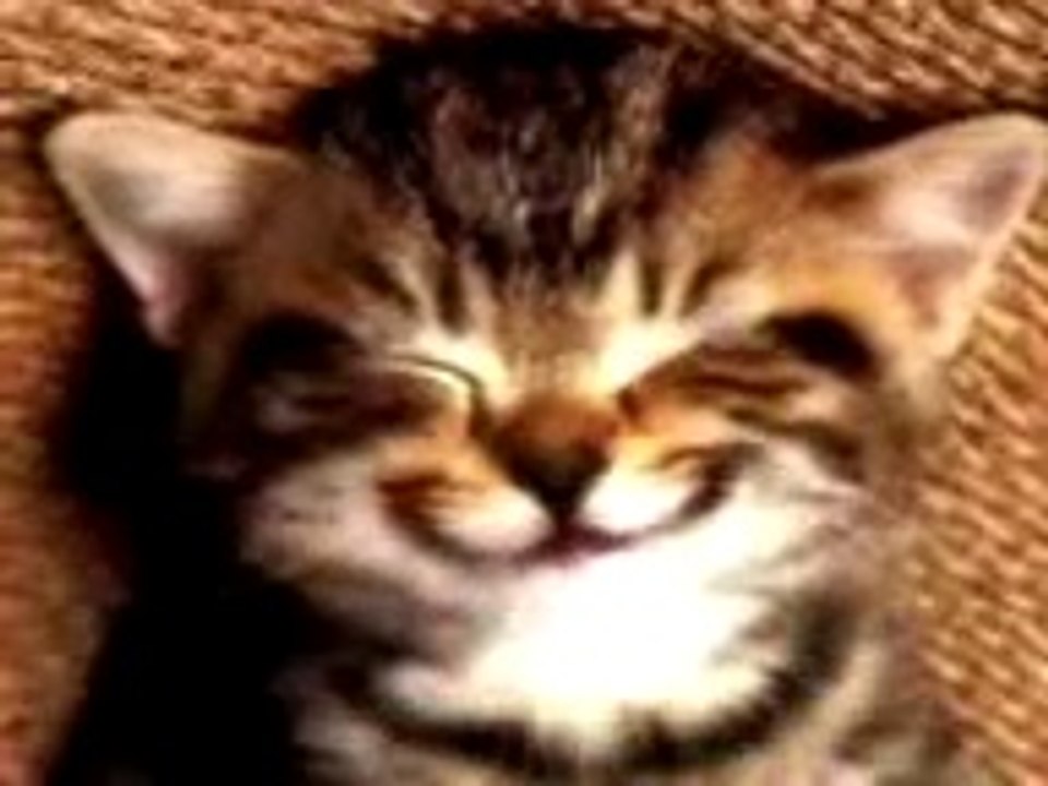 Vive Les Gemeaux Bon Anniversaire Axel Video Dailymotion