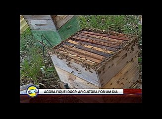 APICULTURA: MUITA CORAGEM ENVOLVIDA