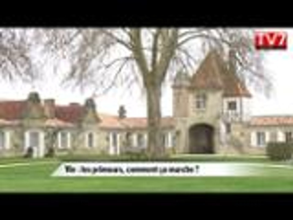 Vins : la semaine des primeurs, c'est parti