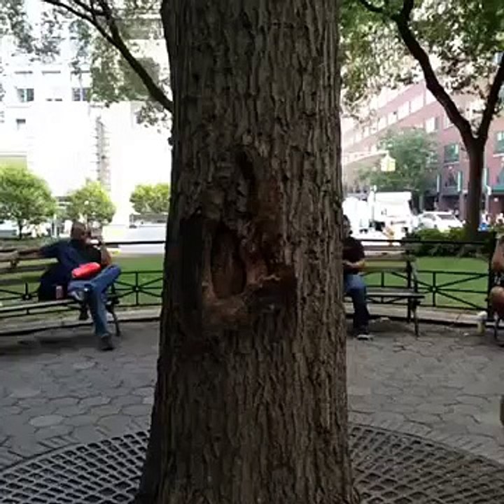 Guys vs. Girls - When your friend wears the same outfit - Vine #197