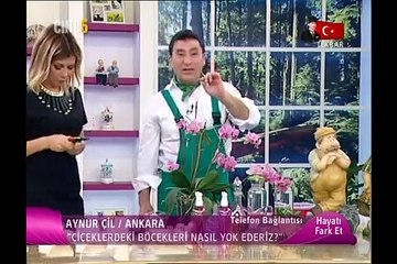 Orkide Bakımı Nasıl Yapılır