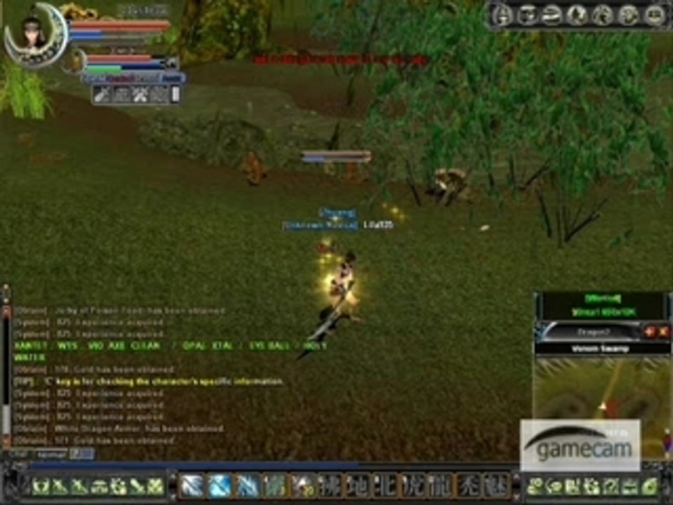Hero Online