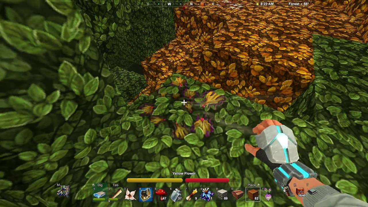 Creativerse