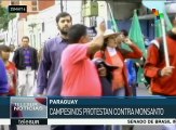 Campesinos paraguayos protestan contra Monsanto
