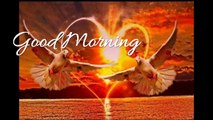 Good Morning Wishes,Good Morning Greetings,Wallpapers,E-card,Good Morning Whatsapp video