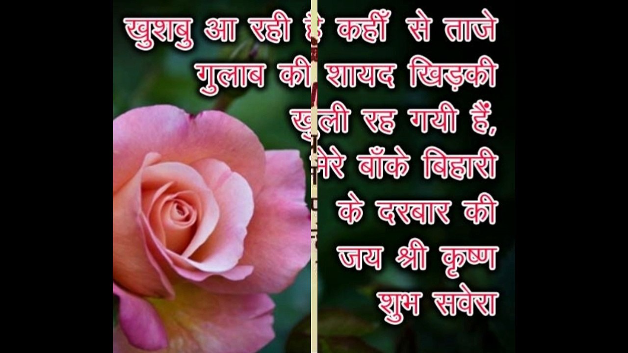 Good Morning Wishes In Hindi Good Morning Greetings Wallpapers E