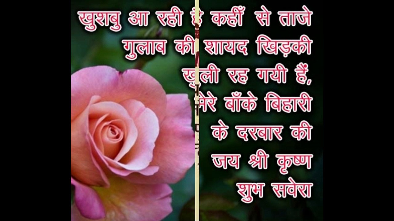 Good Morning Wishes In Hindi Good Morning Greetings Wallpapers E