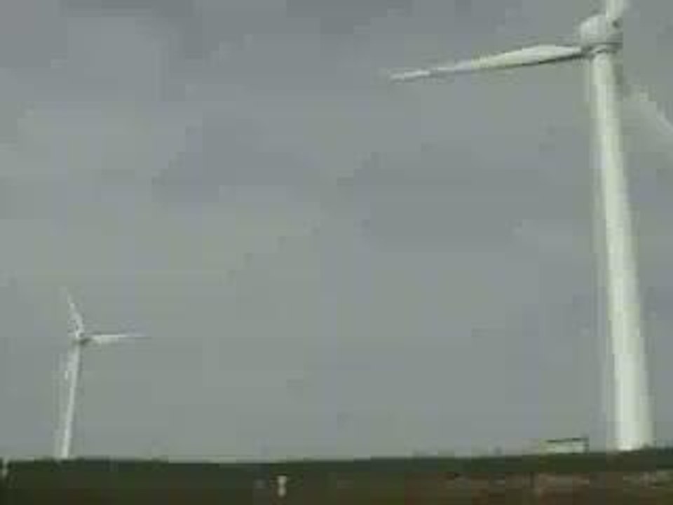 Saut élastique