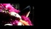 DJ Magic Baron | Live To Tell Why | Madonna v. Annie Lennox