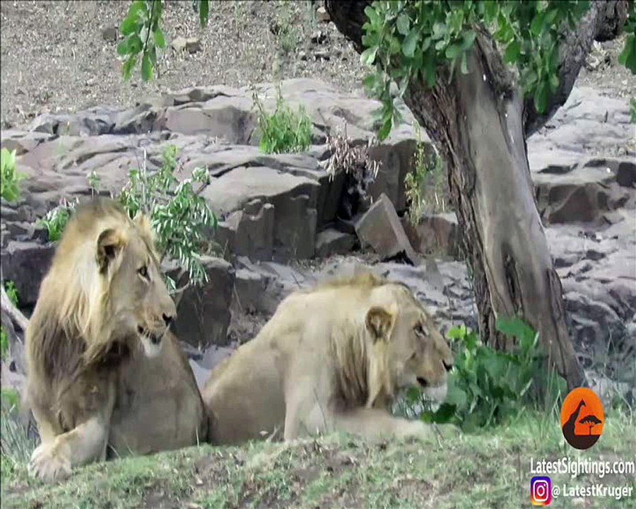 Afrique du Sud: ces touristes sont passés tout près de la catastrophe