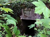 Le Zoom de La Rédaction : la forêt de Verdun, mémoire de la Grande Guerre