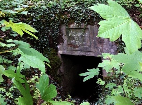 Le Zoom de La Rédaction : la forêt de Verdun, mémoire de la Grande Guerre