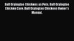 Read Buff Orpington Chickens as Pets. Buff Orpington Chicken Care. Buff Orpington Chickens