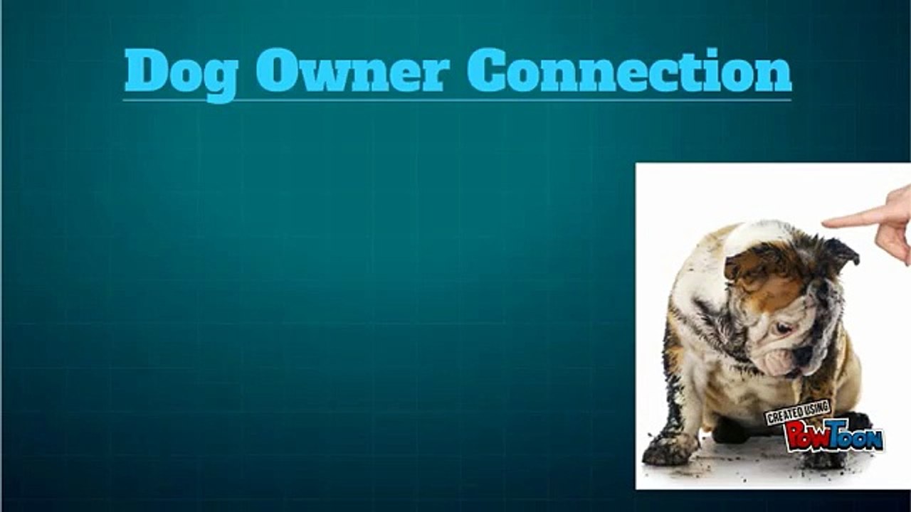 Get Dogs Treats Online By Dog-Owner Connection