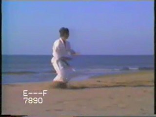 Heian Shodan (Shotokai)