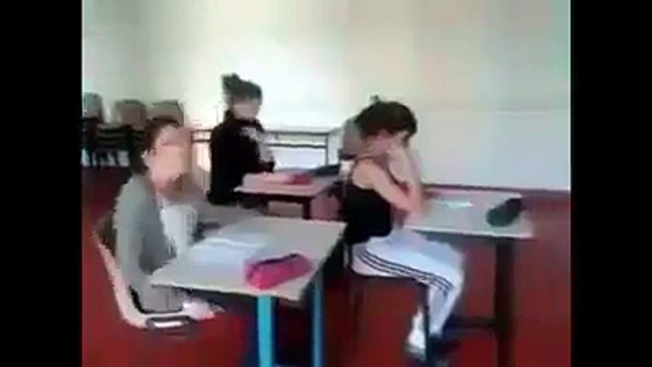 funny videos