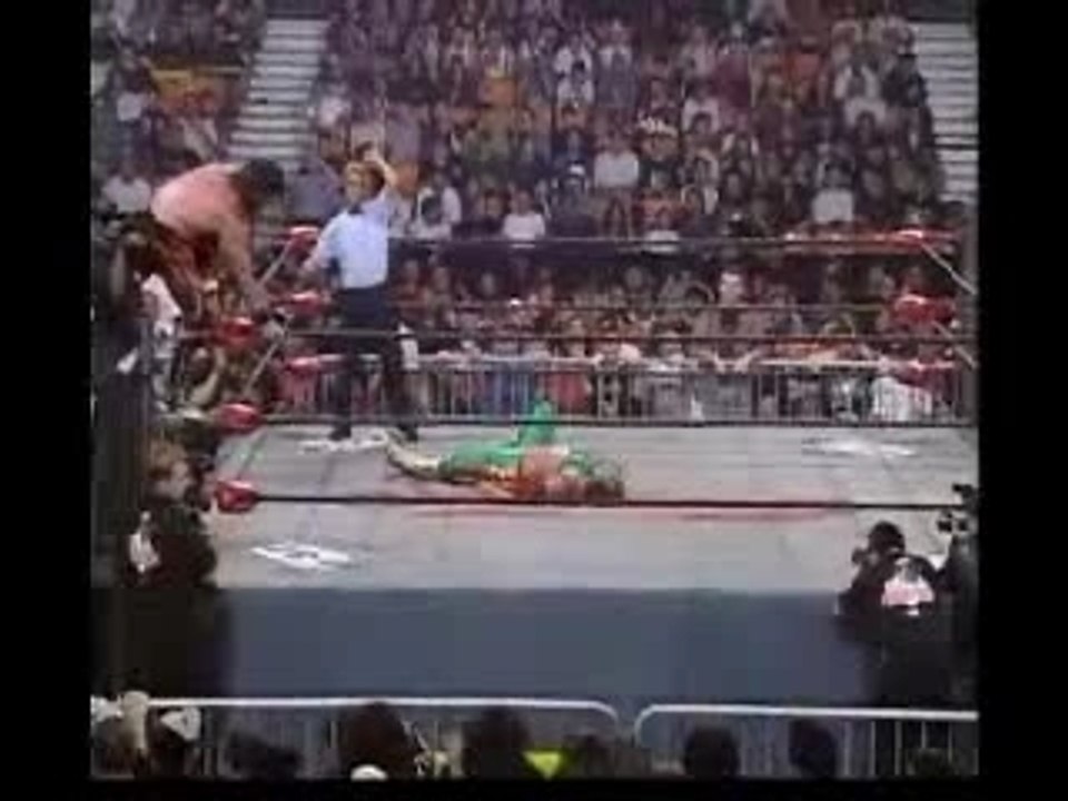 havorzone.tk - frog splash