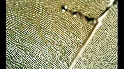 cerf-volant caméra embarquée