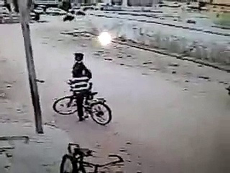 bull tackle