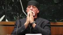 Die Richterin hält Hulk Hogans Sieg über Gawker aufrecht