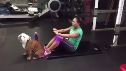 Animals Fun That will Make You Happy