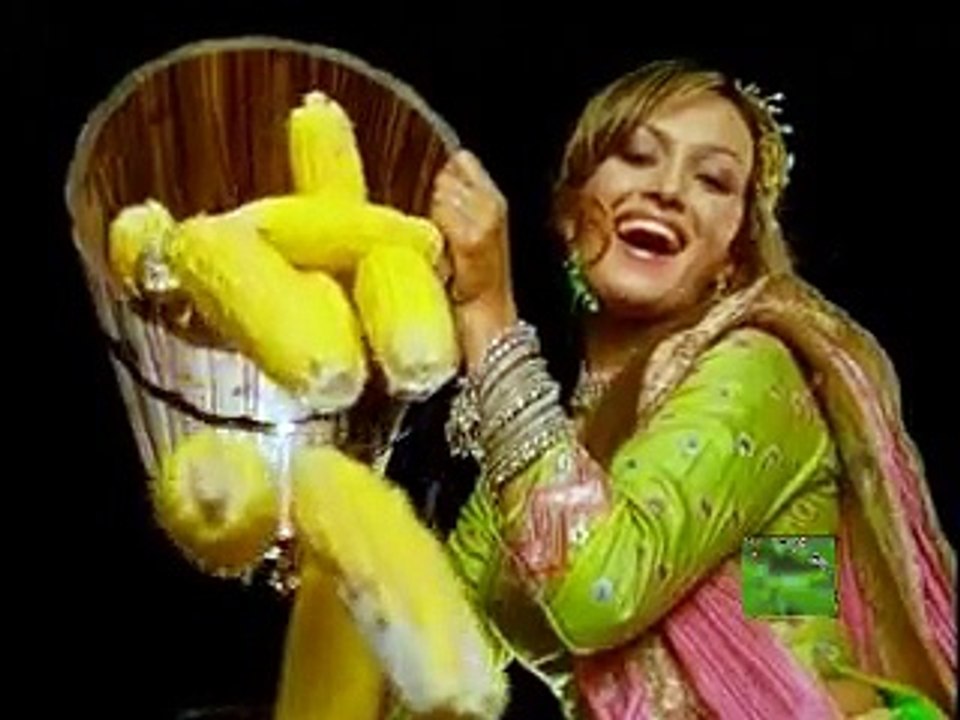 Punj Darya
