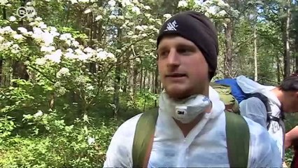 Braunkohle als Alternative? | Made in Germany