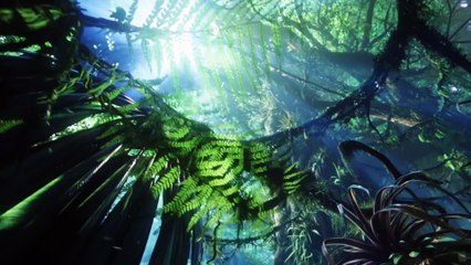 HD Test 1080P Full HD (Avatar)