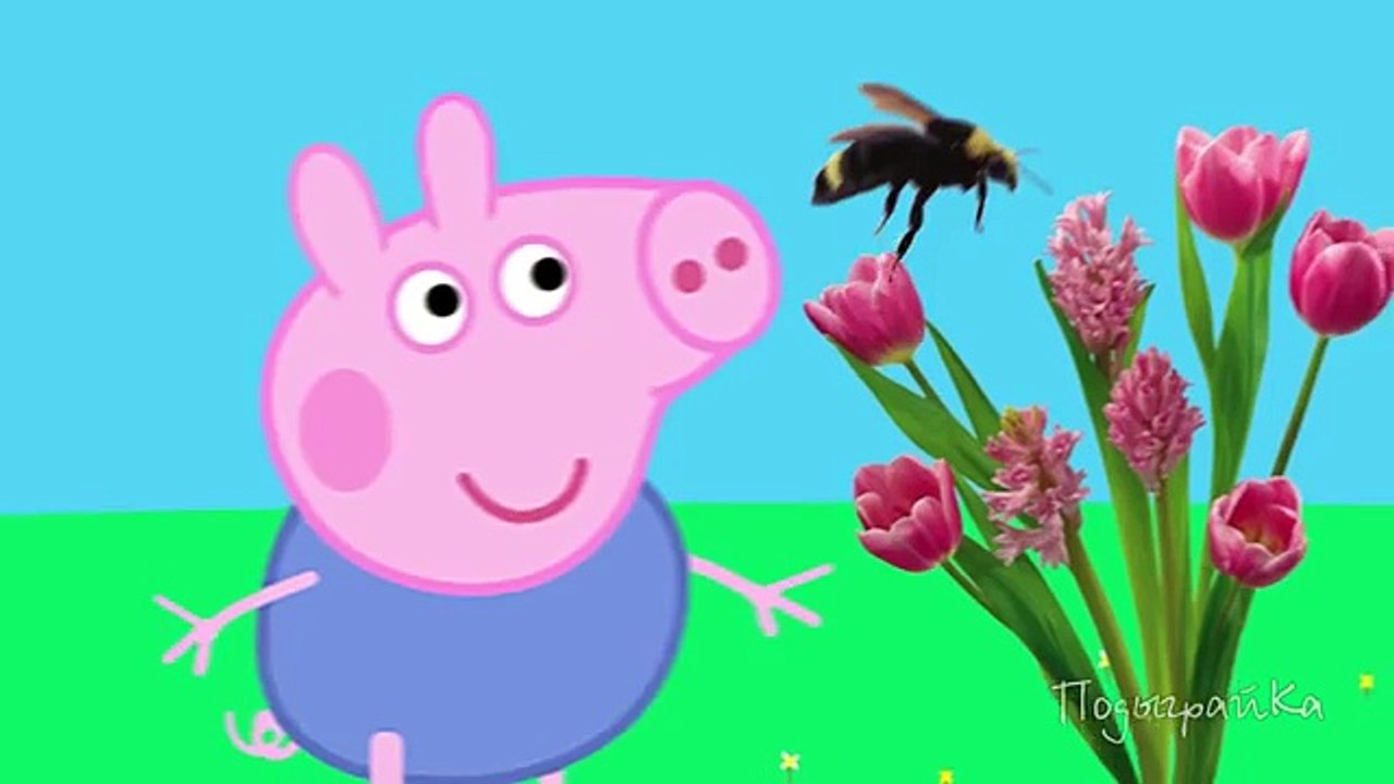 Peppa Pig New episodes  A bee sting! Peppa Pig