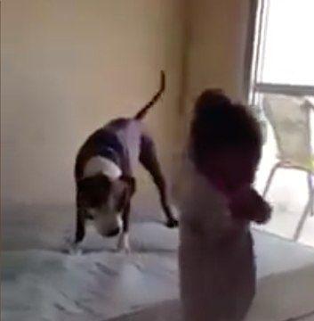 Este perro también quiere saltar en la cama...