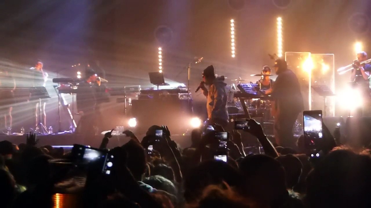 Doc Gyneco  Viens voir le Docteur  - Olympia 2016