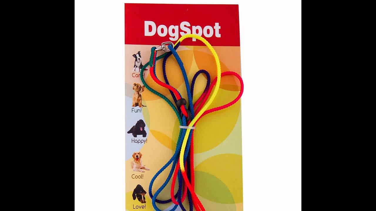 Dog Boarding San Diego