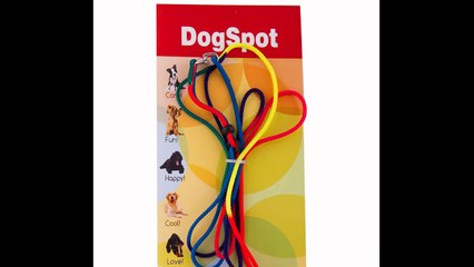 Dog Boarding San Diego