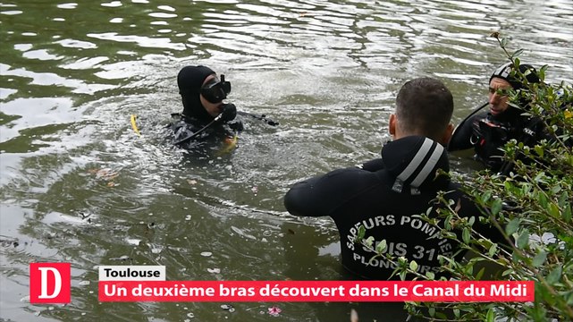 Toulouse : un deuxième bras découvert dans le Canal du Midi