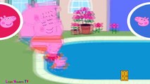 ☀ Peppa Pig Swimming Race ☀ Peppa pig swimming pool ☀ Peppa pig gameplay for kids ☀