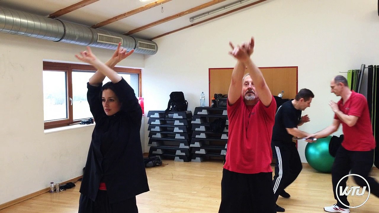 Wing Tsun Universe (WTU) Ostaria Süd 2016