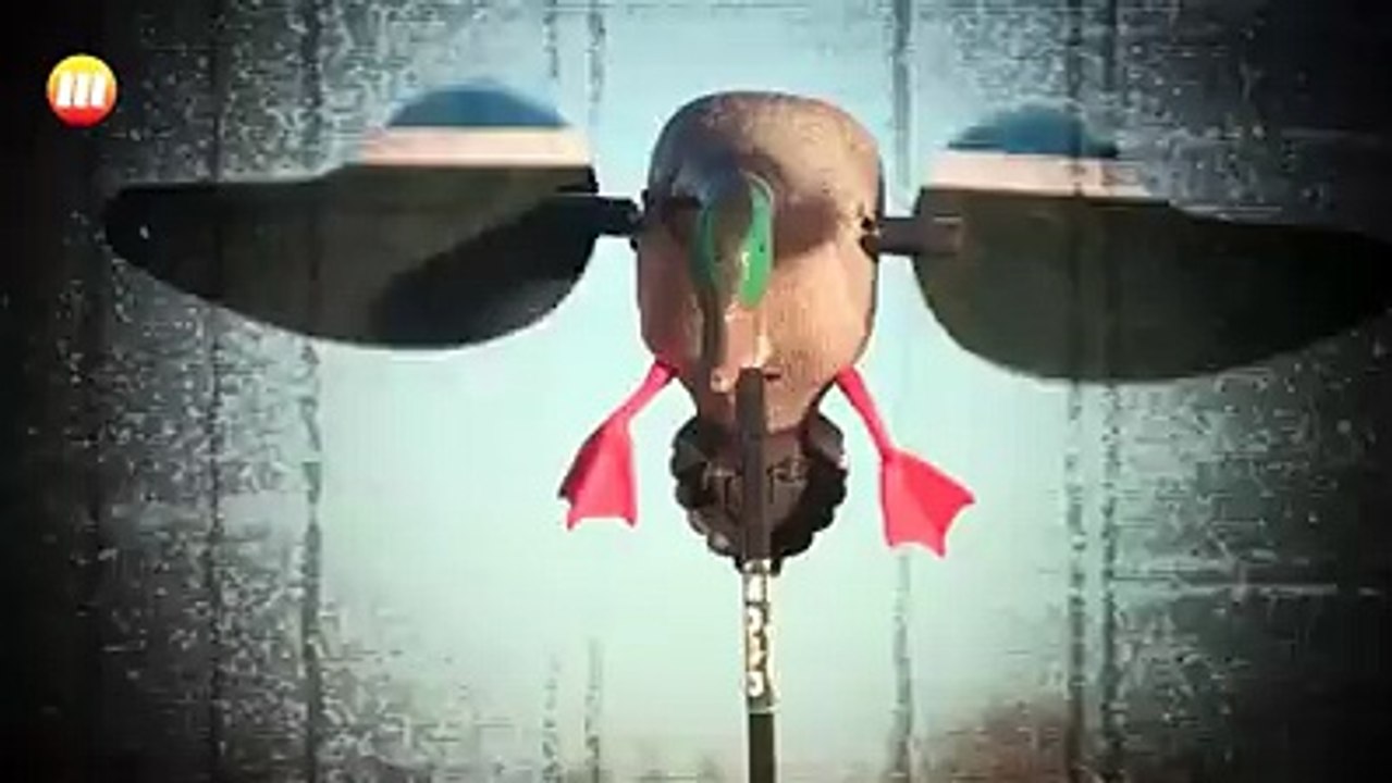 OMG:He are shootin the birds rudely: