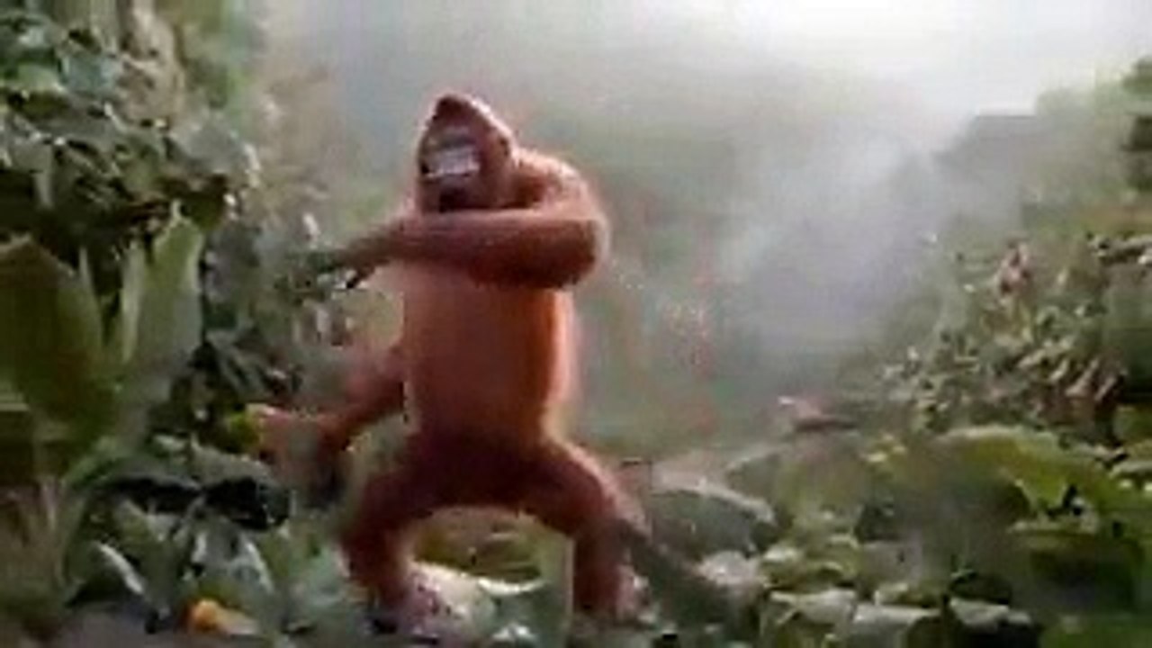 monkey dance on honey singh song