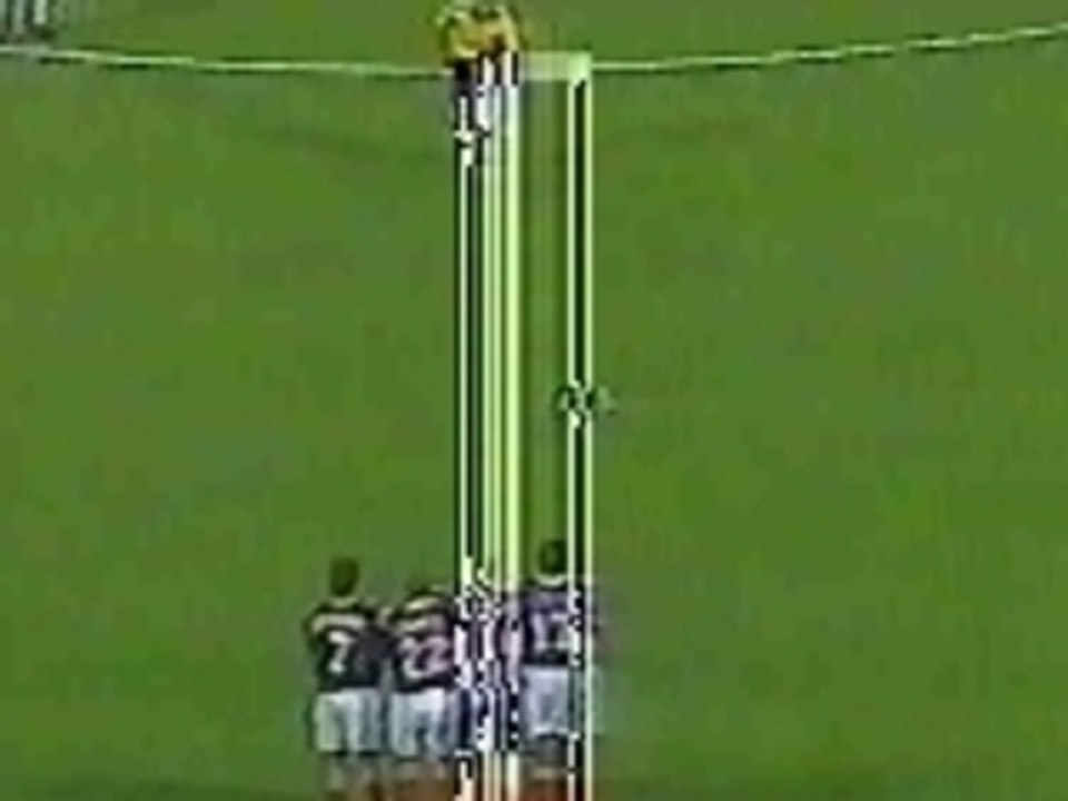 Roberto carlos vs France