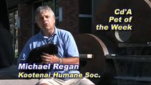 Kootenai Humane Society Adoptable Pet of the Week 8-28-09