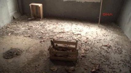 Bursa Apartman Dairesi Değil Tavuk Kümesi