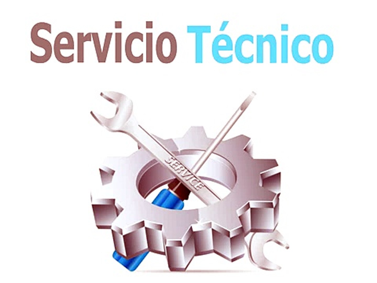 Servicio Técnico Otsein en Antas - 685 28 31 35