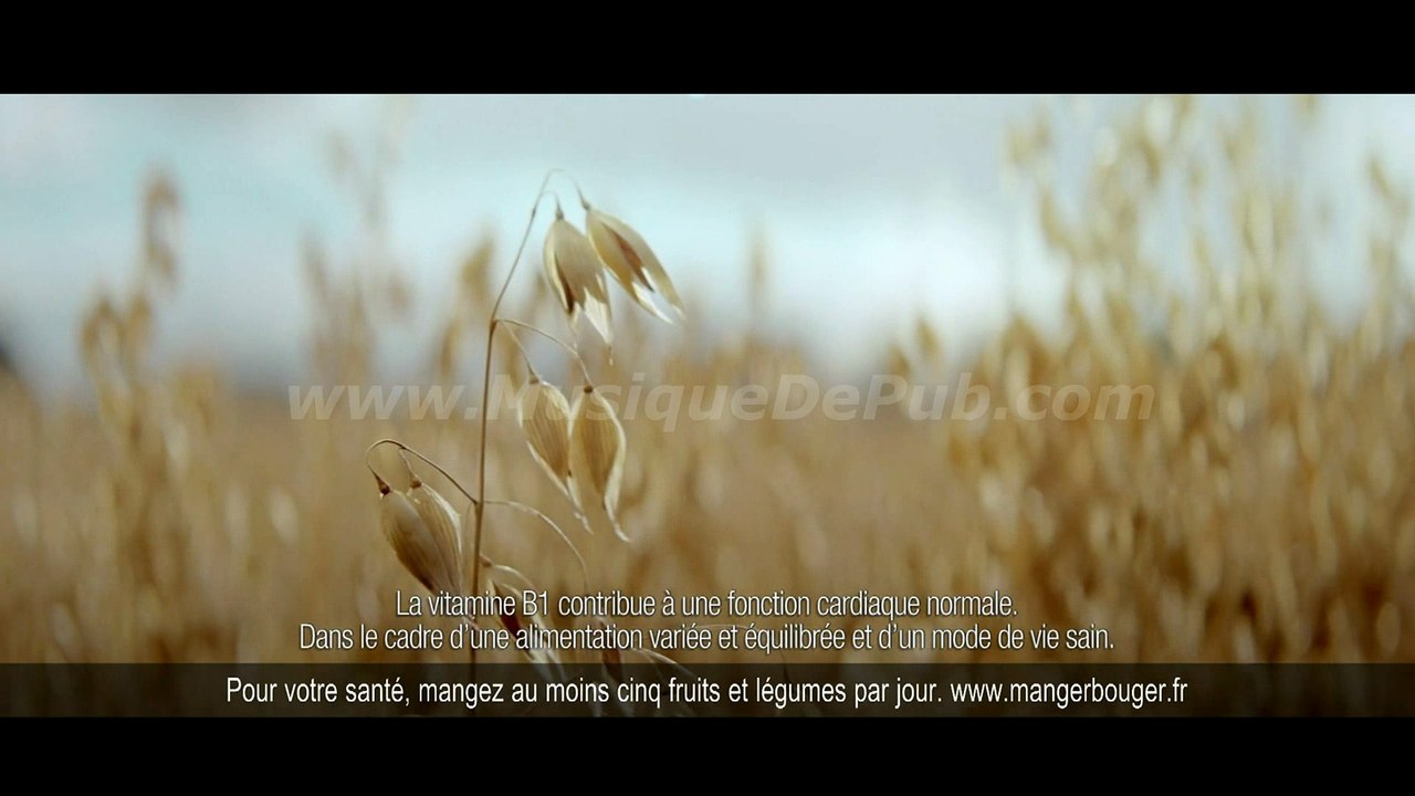 pub Quaker Golden 2016 [HQ]