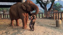 Regardez ce qu'il va se produire lorsque cette femme chante près de l'éléphant