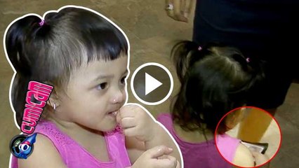 Arsy Bongkar Dompet Pembantu - Cumicam 26 Mei 2016